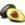 avocado.png