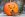 6358139674178784752008745452_squirrel-pumpkin-06.jpg