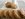 peanut butter cookies 4.jpg