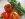 tomatoes from Christine.jpg